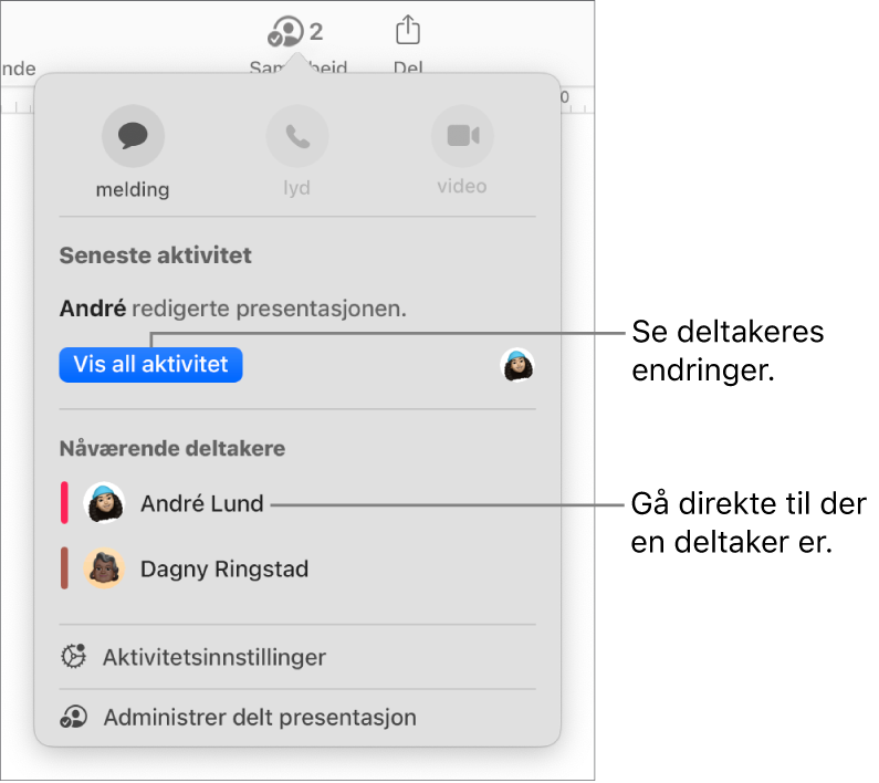 Samarbeidsmenyen, som viser to deltakere.