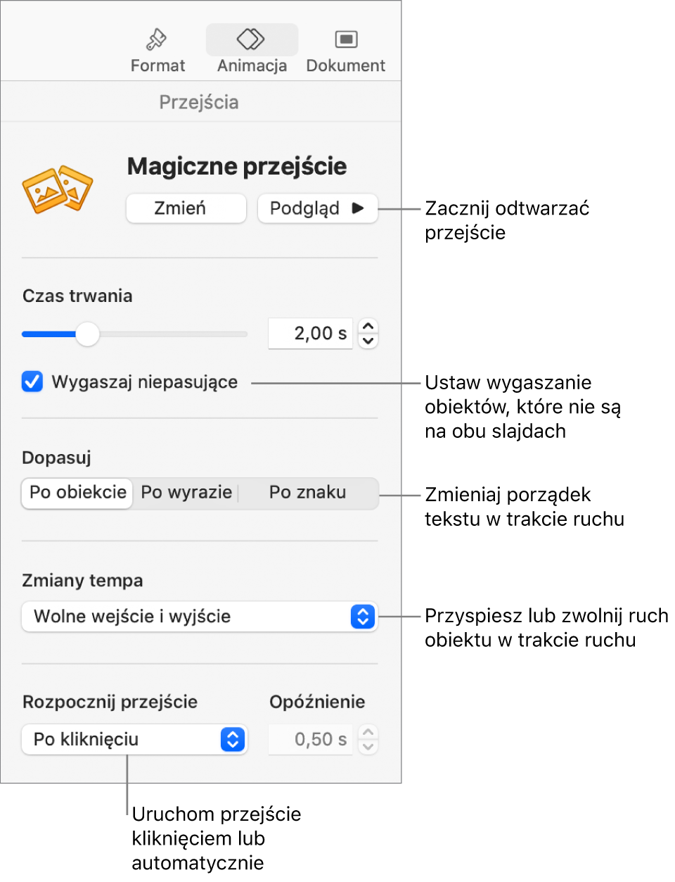 Narzędzia Magicznego przejścia w sekcji Przejścia na pasku bocznym Animacja.