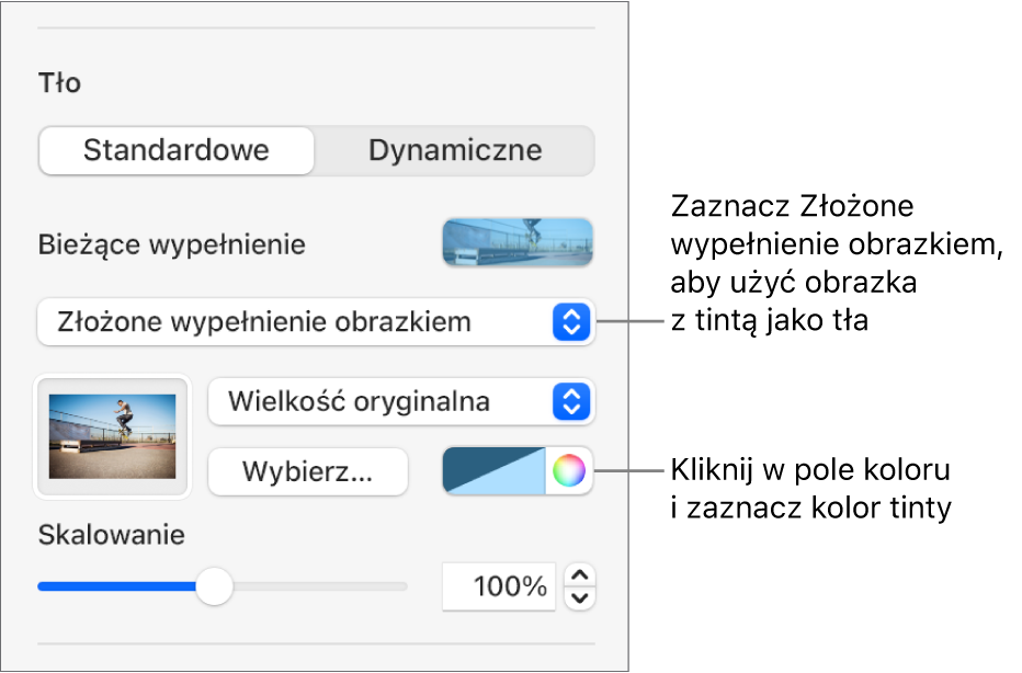 Narzędzia tła z wybraną opcją Złożone wypełnienie obrazkiem oraz tintą ustawionym jako tło slajdu.