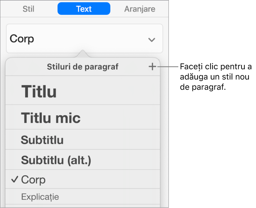 Meniul Stiluri de paragraf cu explicație la butonul Stil nou.