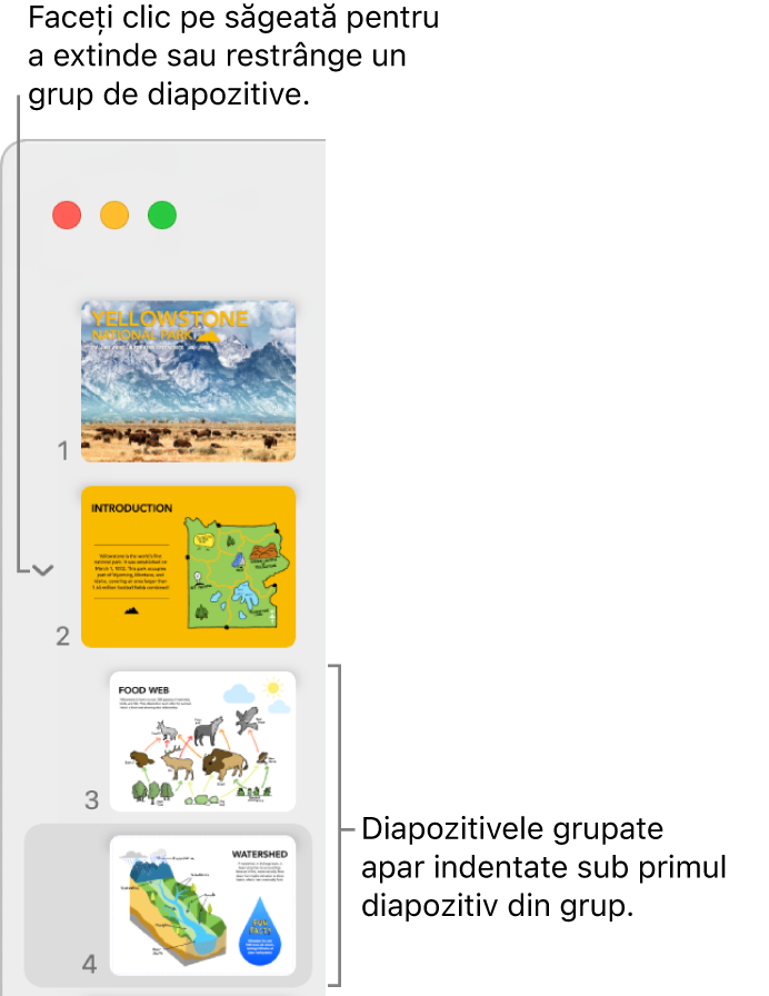 Navigatorul de diapozitive afișând diapozitive indentate.