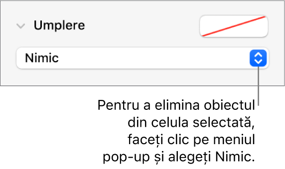 Comanda pentru eliminarea unui obiect din celula selectată.