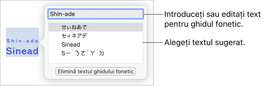 Se va deschide ghidul fonetic pentru un cuvânt, cu explicații pentru câmpul text și textul sugerat.