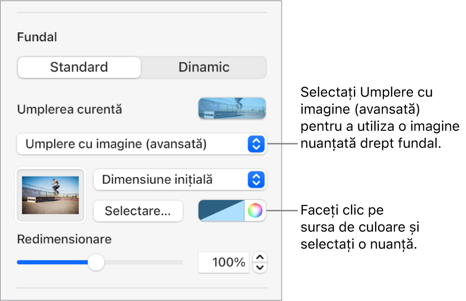 Comenzile Fundal cu o umplere cu imagine (avansată) nuanțată configurată drept fundal al diapozitivului.