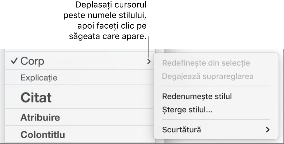 Meniul Stiluri de paragraf cu meniul de scurtături deschis.