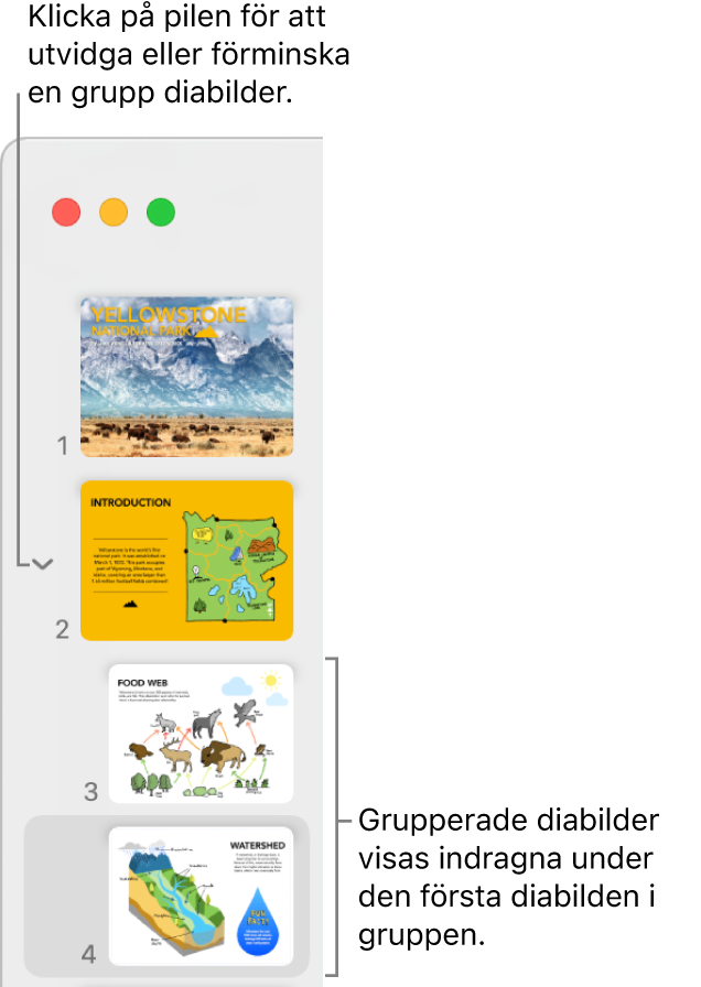 Diabildsnavigatorn med indragna diabilder.