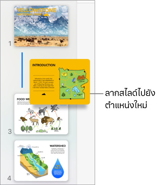 แถบนำทางสไลด์ที่กำลังแสดงรูปย่อสไลด์ที่ถูกจัดลำดับอีกครั้งโดยมีเส้นอยู่ด้านซ้าย