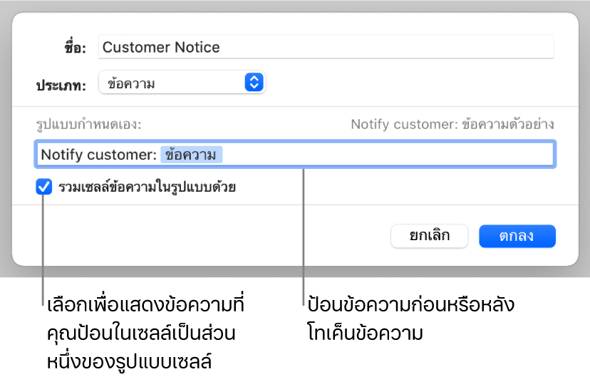 รูปแบบเซลล์ข้อความแบบกำหนดเอง