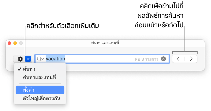 หน้าต่างค้นหาและแทนที่พร้อมเมนูที่แสดงขึ้นที่แสดงตัวเลือกสำหรับค้นหา ค้นหาและแทนที่ ทั้งคำ และตัวใหญ่เล็กตรงกัน ลูกศรด้านขวาทำให้คุณสามารถข้ามไปที่ผลการค้นหาก่อนหน้าหรือถัดไปได้