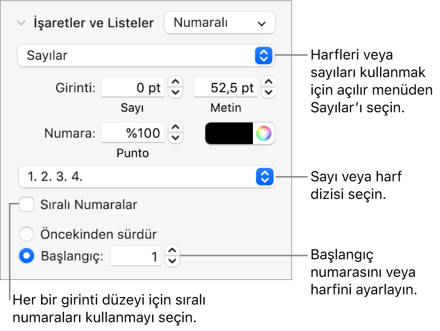 Numara stilini ve bir lise boşluğunu değiştirme denetimleri.