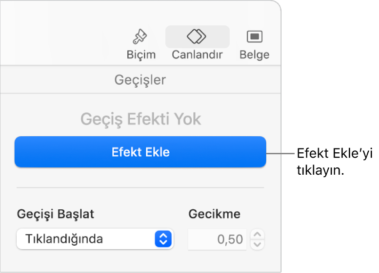 Kenar çubuğunun Canlandırma bölümündeki Efekt Ekle düğmesi.