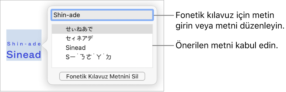Bir sözcük için fonetik kılavuz, metin alanına ve önerilen metne ilişkin gösterimlere açılır.