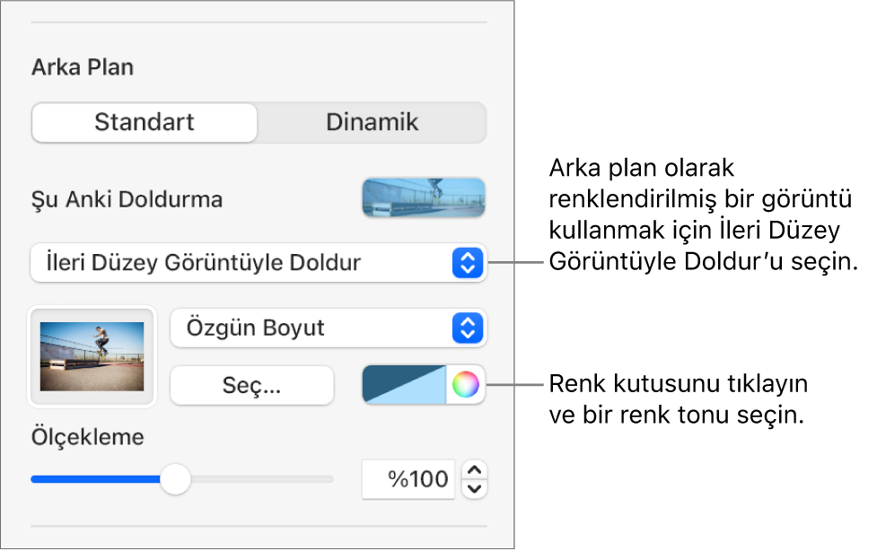 Arka Plan denetimleri, slayt arka planı olarak ayarlanmış renk tonlu bir İleri Düzey Görüntüyle Doldur ile.