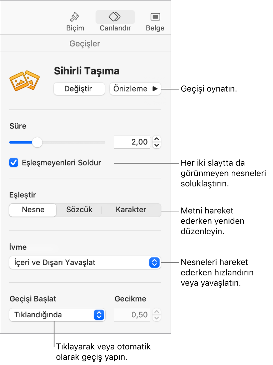 Canlandır kenar çubuğunun Geçişler bölmesindeki Sihirli Taşıma geçiş denetimleri.