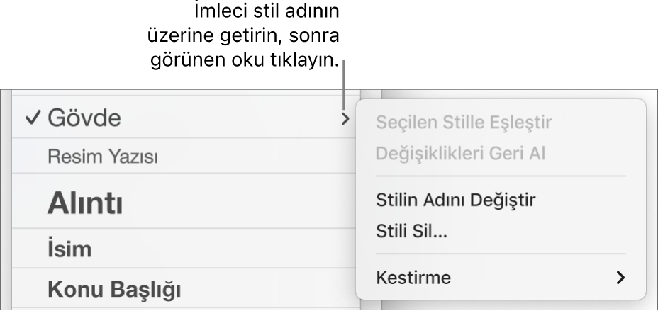 Kestirme menüsünün açık olduğu Paragraf Stilleri menüsü.