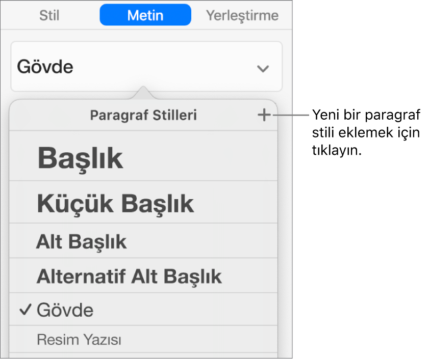 Yeni Stil düğmesi belirtimini içeren Paragraf Stilleri menüsü.