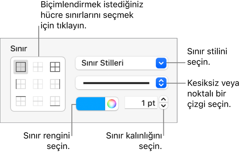 Hücre sınırlarının görünümünü değiştirmeye yönelik Kenar Çubuğu denetimleri.