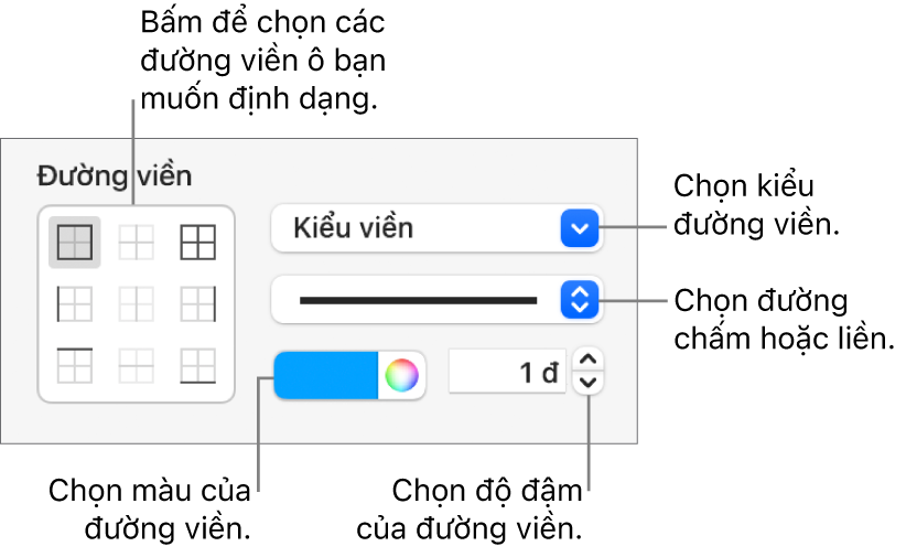 Các điều khiển trên Thanh bên để thay đổi hình thức của đường viền ô.