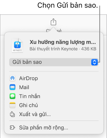 Menu Chia sẻ với Gửi bản sao được chọn ở trên cùng.
