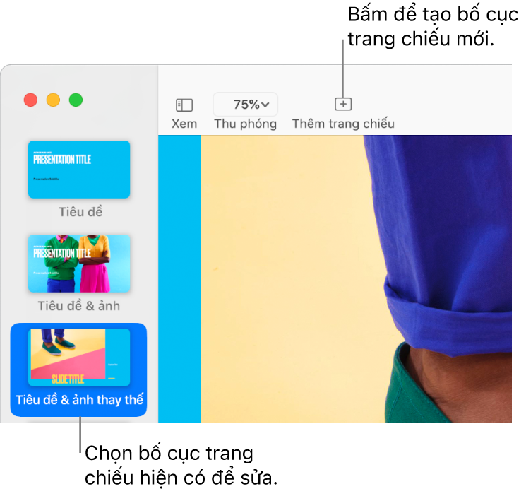 Một bố cục trang chiếu đang hiển thị trên khu vực bố cục trang chiếu, với nút Thêm trang chiếu ở phía trên trong thanh công cụ.