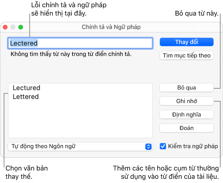 Cửa sổ Chính tả và ngữ pháp.