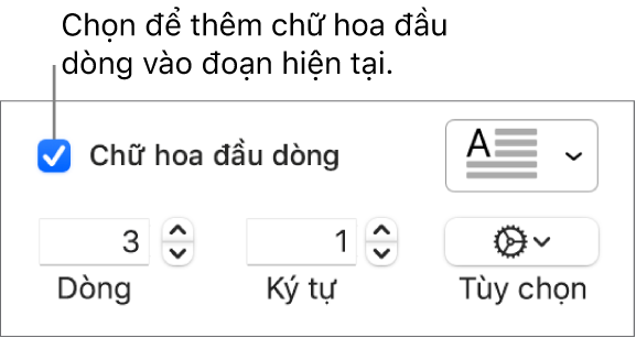 Hộp kiểm Chữ hoa đầu dòng được chọn và menu bật lên xuất hiện ở bên phải; các điều khiển để đặt chiều cao đường, số lượng ký tự và các tùy chọn khác xuất hiện bên dưới.