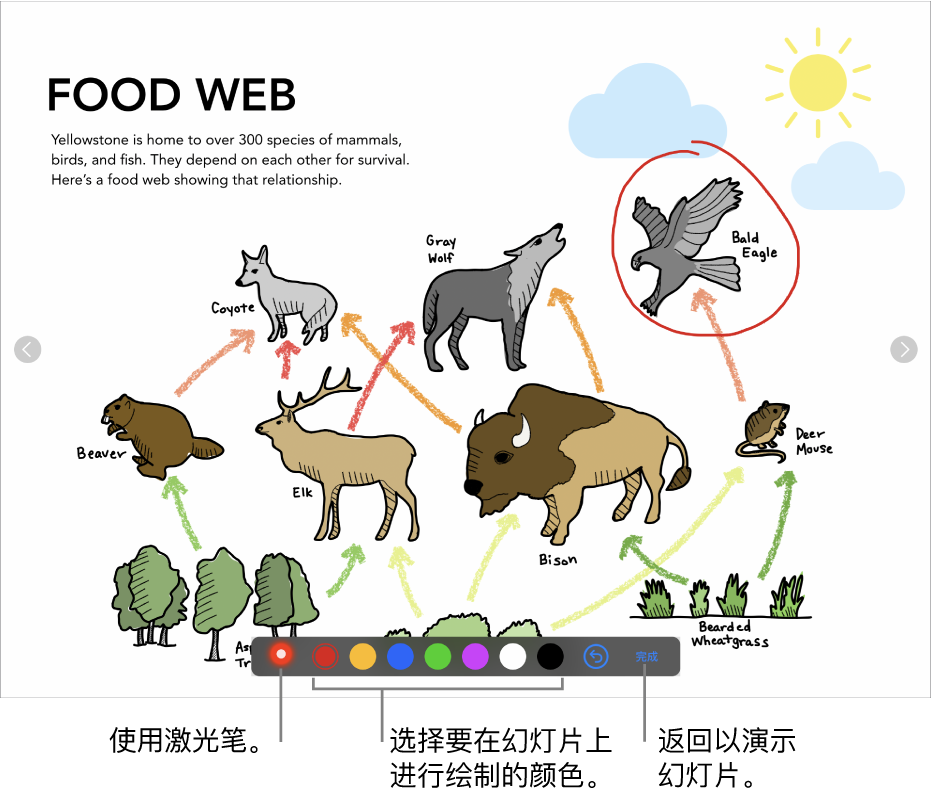 幻灯片插图模式下的幻灯片,显示激光笔和颜色选择控制。