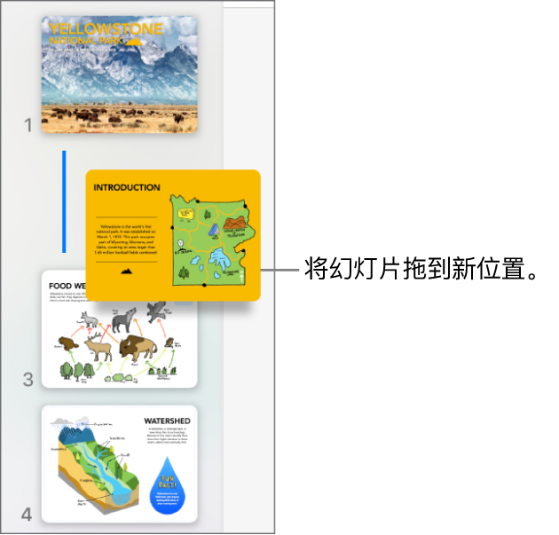 幻灯片导航器，显示已重新排序的幻灯片缩略图，其左侧有一条线。