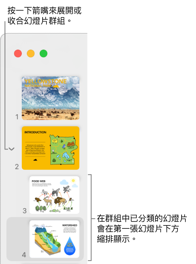 顯示內縮投影片的投影片導覽器。