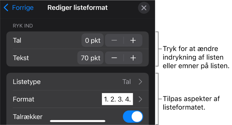 Menuen Rediger listeformat med betjeningsmuligheder til redigering af listens type og udseende.