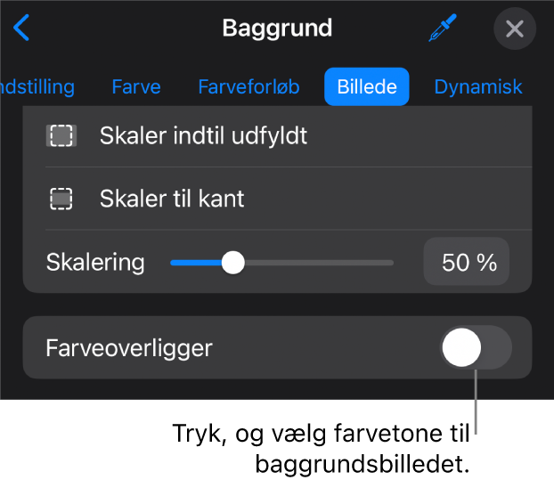 Betjeningsmulighederne til baggrund med et billede indstillet som lysbilledbaggrund og betjeningsmulighederne til Farveoverligger nederst.