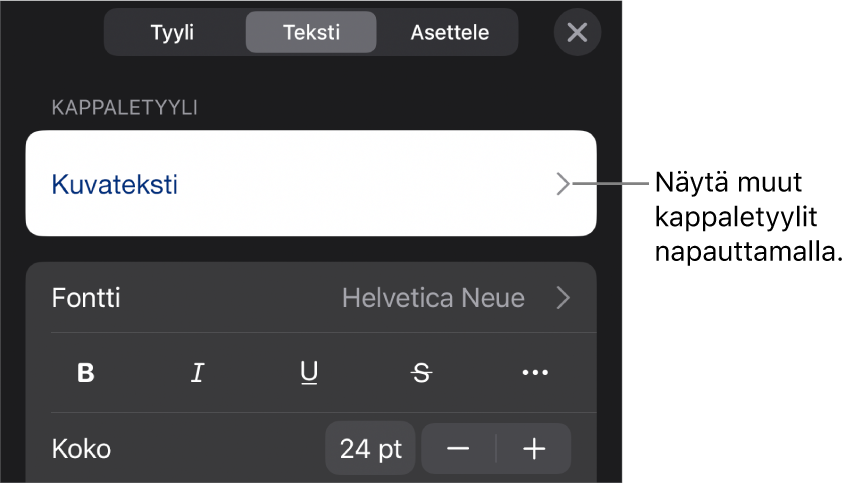 Muoto-valikko, jossa on tekstisäätimet kappale- ja merkkityylien, fontin, koon ja värin valitsemista varten.