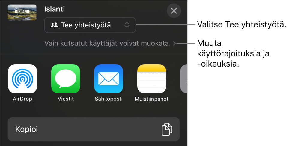 Jaa-valikko, jossa on ylhäällä valittuna Tee yhteistyötä, ja sen alla ovat käyttöoikeus- ja lupa-asetukset.