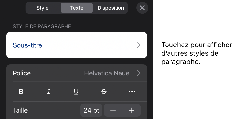 Menu Format avec commandes de texte permettant de définir les styles, la police, la taille et la couleur des paragraphes et des caractères.