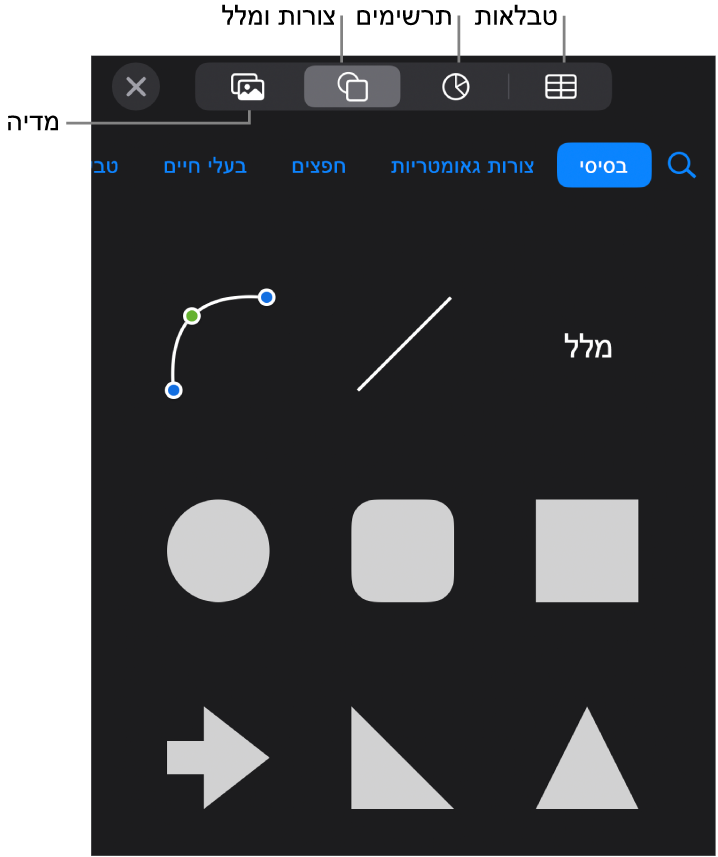 כלי הבקרה להוספת אובייקט, עם כפתורים בחלק העליון לבחירת טבלאות, תרשימים, צורות (כולל קווים ותיבות מלל) ומדיה.
