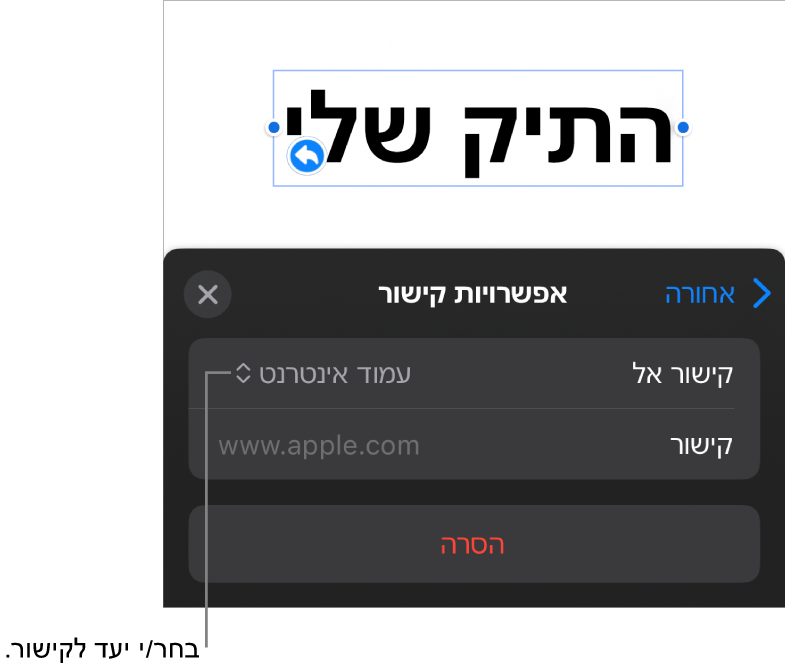 כלי הבקרה של ״אפשרויות קישור״ כאשר האפשרות ״עמוד אינטרנט״ נבחרת ובחלק התחתון מוצג הכפתור ״הסר״.