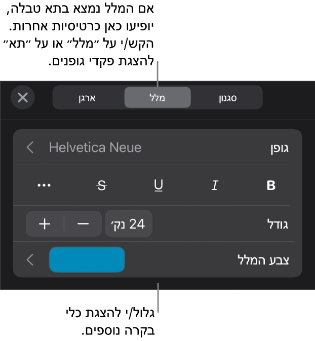 כלי בקרה של מלל בתפריט ״עיצוב״ להגדרת סגנונות, גופן, גודל וצבע עבור פיסקאות ותווים.