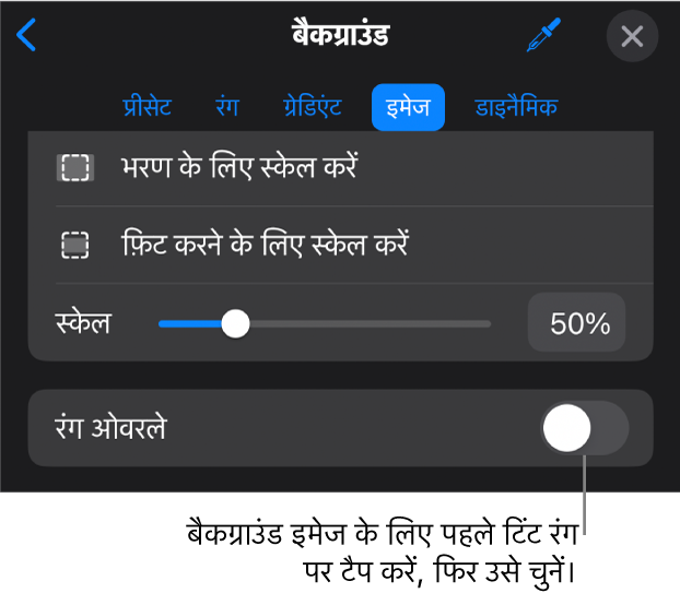 बैकग्राउंड नियंत्रण, जिनके सबसे निचले भाग में इमेज को स्लाइड बैकग्राउंड और रंग ओवरले नियंत्रण के रूप में सेट किया गया है।