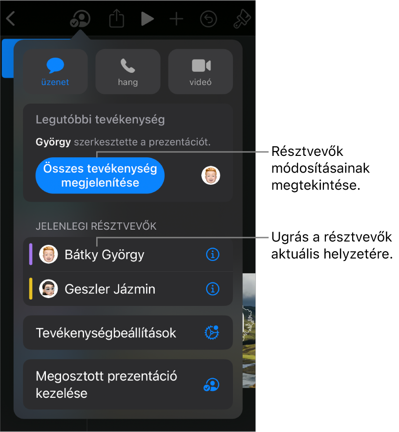 Az együttműködési menü a jelenlegi résztvevőkkel.