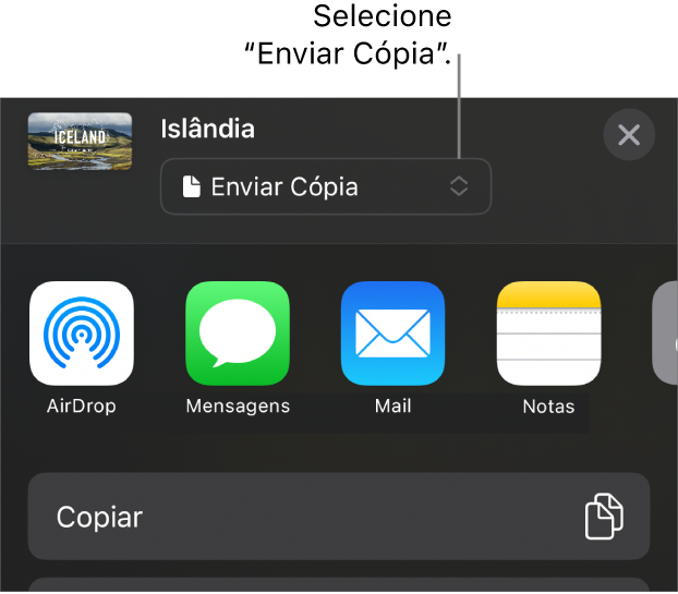 Menu Compartilhar com “Enviar Cópia” selecionado na parte superior.