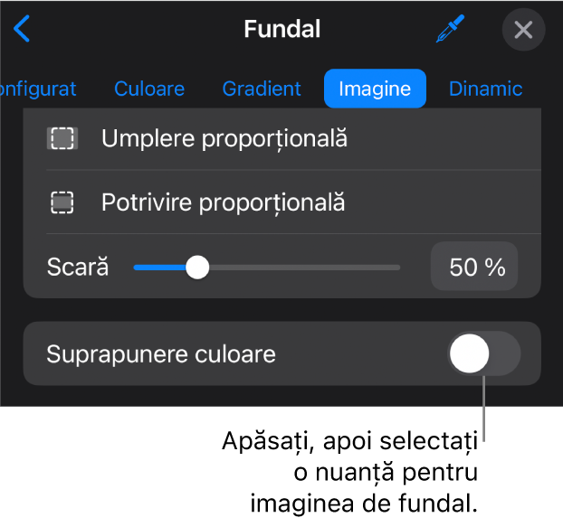 Comenzile Fundal cu o imagine configurată drept fundal al diapozitivului și comanda Suprapunere culoare în partea de jos.