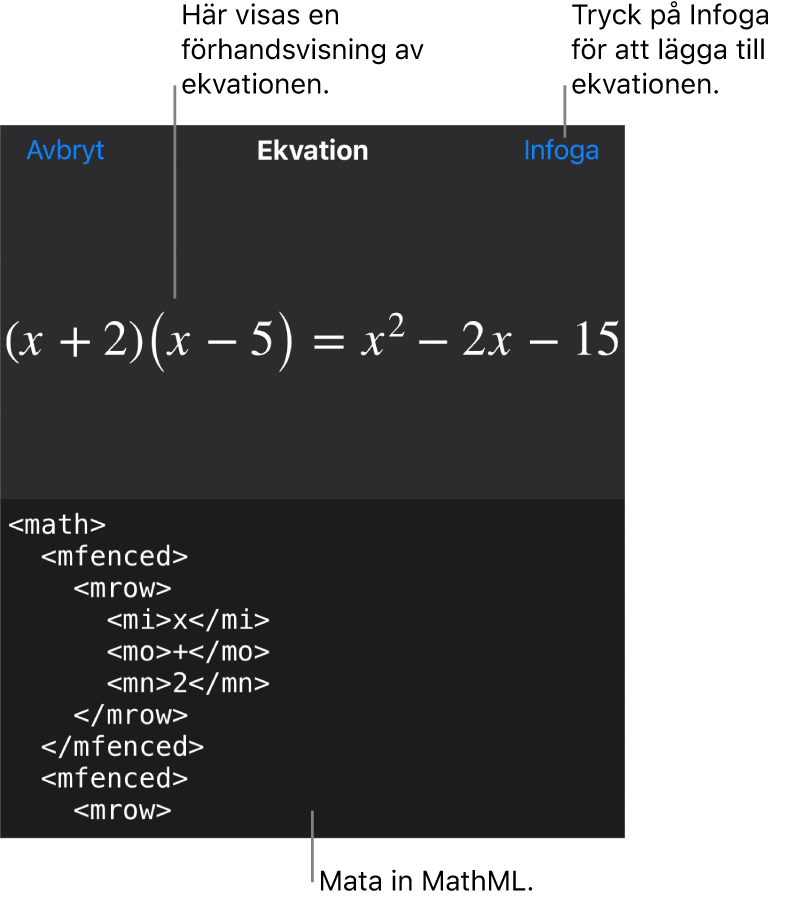 Dialogrutan Ekvation visar en ekvation som skrivits med MathML-kommandon och en förhandsvisning av formeln ovanför den.