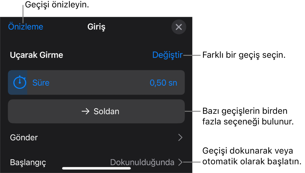 Geçişleri değiştirmek için Seçenekler bölümündeki denetimler.