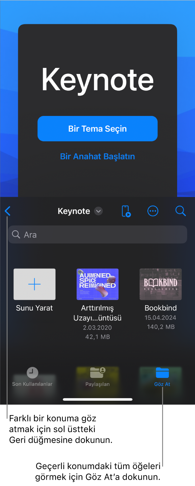 Sol üst köşede Geri düğmesi ve onun altında Arama alanıyla Belge yöneticisinin göz at görüntüsü. Sağ üst köşede Ekle, Diğer ve Kumanda düğmeleri bulunuyor. Ekranın en altında Son Kullanılanlar, Paylaşılanlar ve Göz At düğmeleri vardır.