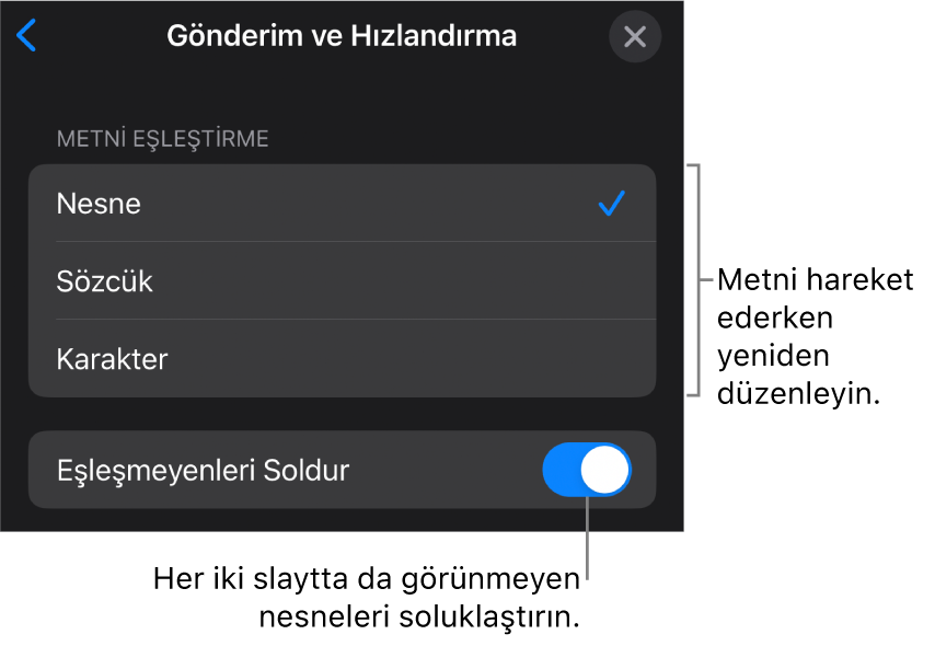 Hızlandırma bölümündeki Sihirli Taşıma gönderim ve hızlandırma seçenekleri.