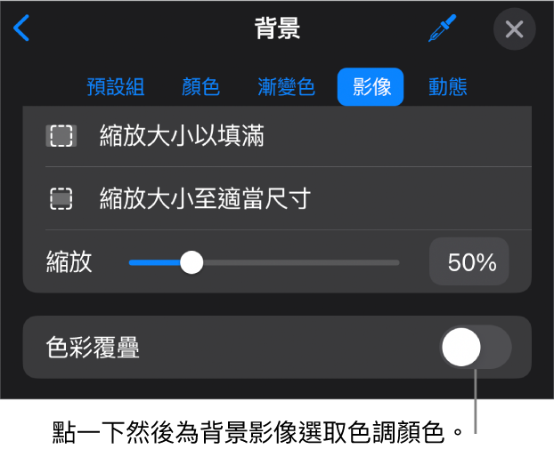 「背景」控制項目，其中一個影像已設定為投影片背景，且「色彩覆疊」控制項目位於底部。