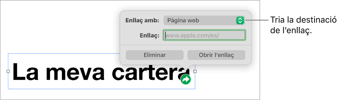 Controls de l’editor d’enllaços amb l’opció “Pàgina web” seleccionada i els botons “Elimina” i “Obre l’enllaç” situats a la part inferior.