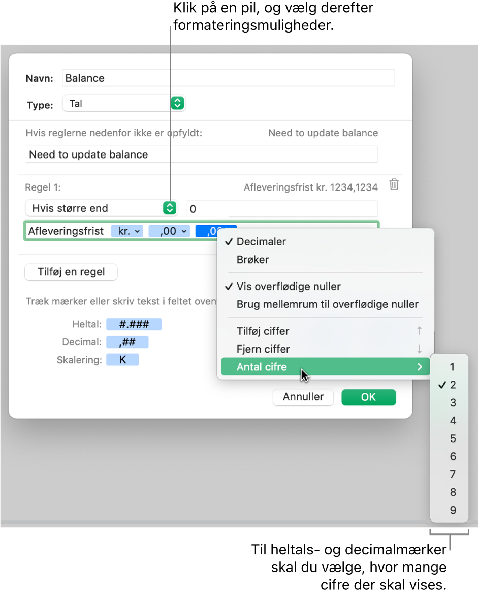 Vinduet til specielle celleformater med betjeningsmuligheder til valg af specielle formateringsmuligheder.