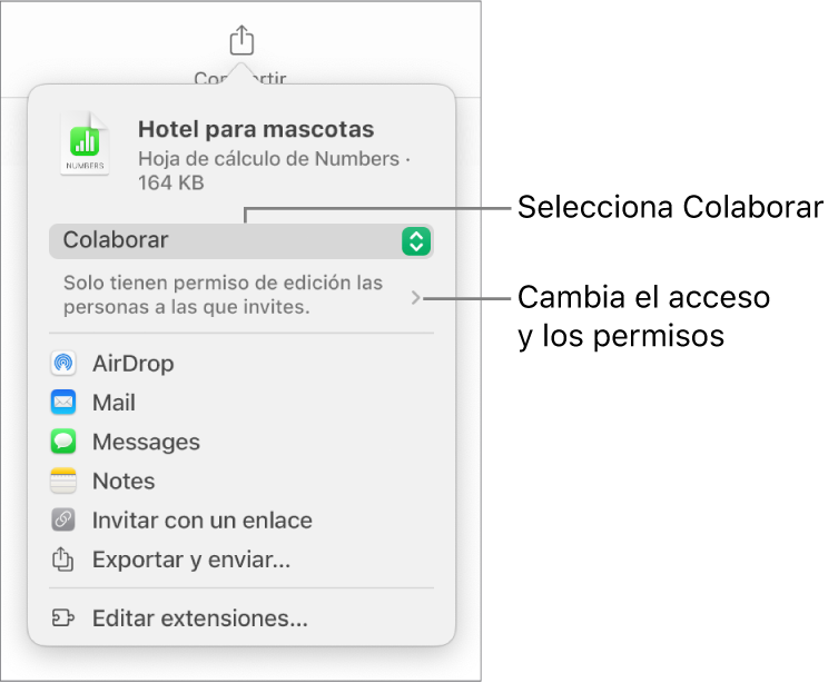 El menú Compartir con la opción Colaborar seleccionada en la parte superior y los ajustes de acceso y permisos debajo.