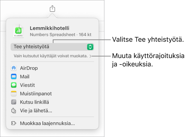 Jaa-valikko, jossa on ylhäällä valittuna Tee yhteistyötä, ja sen alla ovat käyttöoikeus- ja lupa-asetukset.